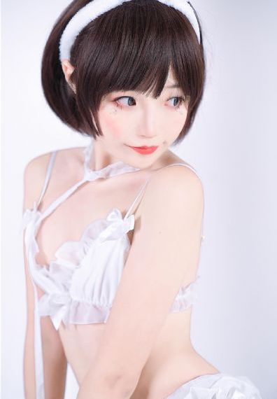 文豪野犬第二季